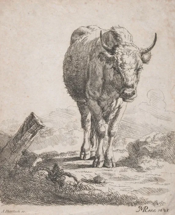 Framed Print : A cow, seen from the front, 1805. Creator: Adam von Bartsch Framed Print : A cow, seen from the front, 1805. Creator: Adam von Bartsch
