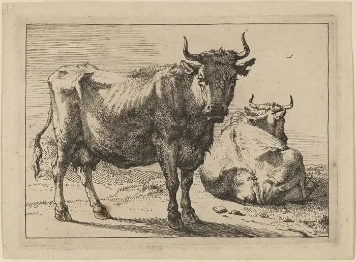 Framed Print : A Cow Standing and Another Lying Down, 1650. Creator: Paulus Potter Framed Print : A Cow Standing and Another Lying Down, 1650. Creator: Paulus Potter