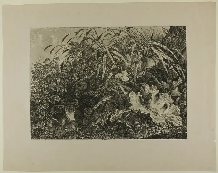 Framed Print : Cow Standing in a Swamp, n.d. Creator: Carl Wilhelm Kolbe the elder Framed Print : Cow Standing in a Swamp, n.d. Creator: Carl Wilhelm Kolbe the elder