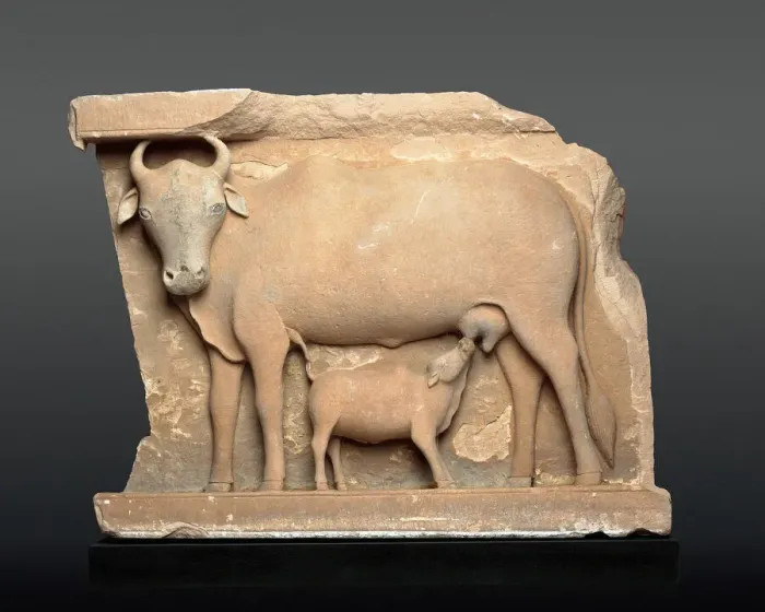 Framed Print : Cow Suckling a Calf, About 9th century. Creator: Unknown Framed Print : Cow Suckling a Calf, About 9th century. Creator: Unknown