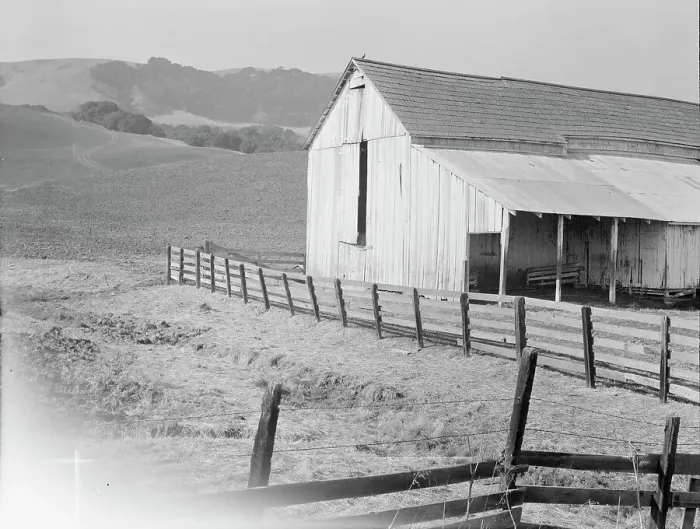 Framed Print : Cowbarn and hills, California dairy ranch, Contra Costa County, California, 1938. Creator: Dorothea Lange Framed Print : Cowbarn and hills, California dairy ranch, Contra Costa County, California, 1938. Creator: Dorothea Lange