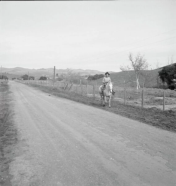 Cowboy coming in from the hills, San Luis Obispo County, California, 1939. Creator: Dorothea Lange