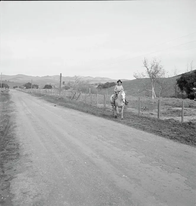 Framed Print : Cowboy coming in from the hills, San Luis Obispo County, California, 1939. Creator: Dorothea Lange Framed Print : Cowboy coming in from the hills, San Luis Obispo County, California, 1939. Creator: Dorothea Lange