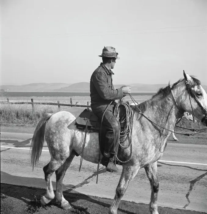 Framed Print : Cowboy coming in from the hills, San Luis Obispo County, California, 1938. Creator: Dorothea Lange