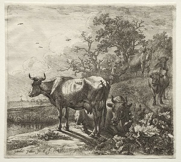 The Cowherd. Creator: Paulus Potter (Dutch, 1625-1654)