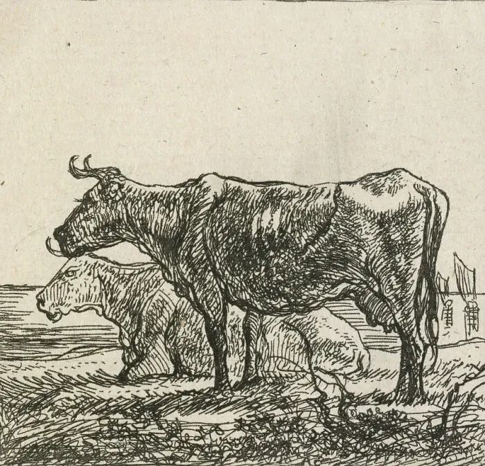 Framed Print : Cows, 1640-1665. Creator: Aelbert Cuyp Framed Print : Cows, 1640-1665. Creator: Aelbert Cuyp