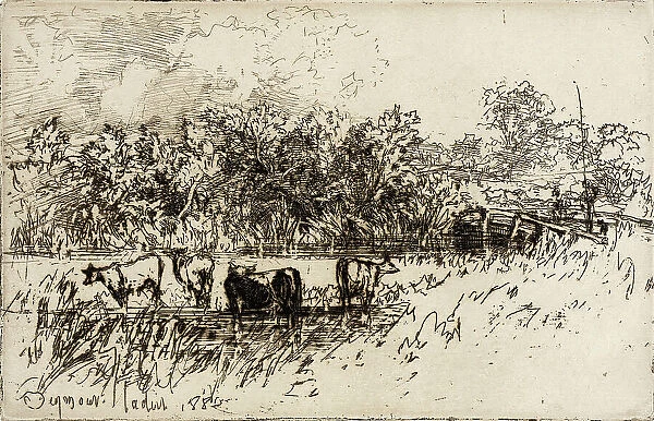 The Four Cows, 1882. Creator: Francis Seymour Haden