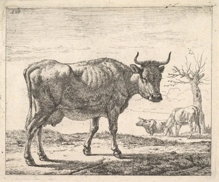 Framed Print : Three Cows. Creator: Adriaen van de Velde Framed Print : Three Cows. Creator: Adriaen van de Velde