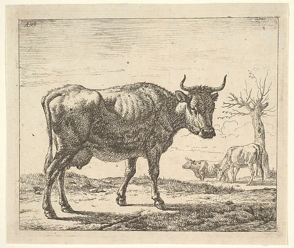 Three Cows, from Different Animals. Creator: Adriaen van de Velde