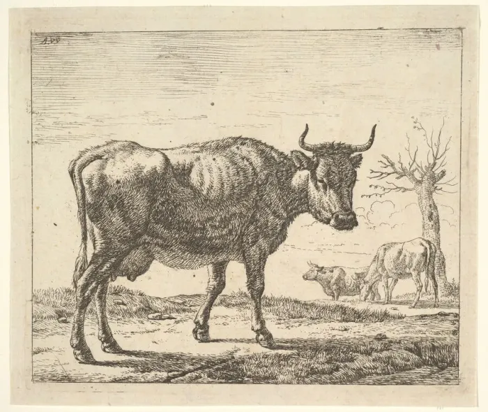 Framed Print : Three Cows, from Different Animals. Creator: Adriaen van de Velde Framed Print : Three Cows, from Different Animals. Creator: Adriaen van de Velde