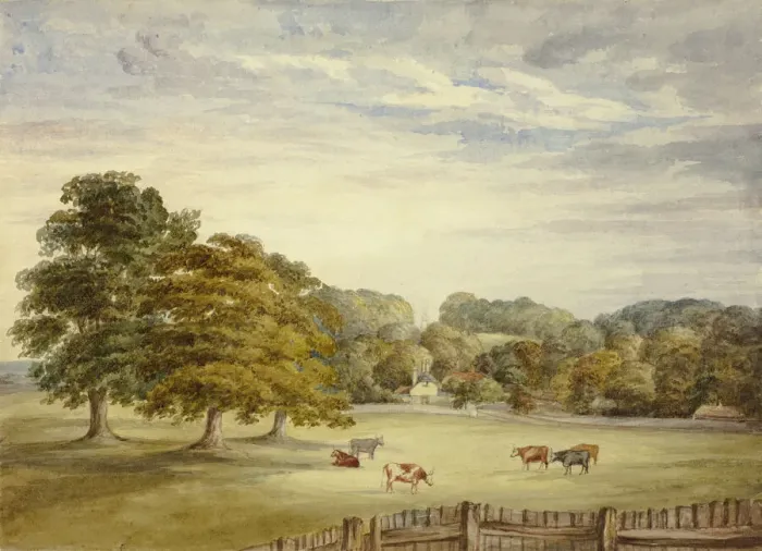 Framed Print : Six Cows Grazing before Country House, n. d. Creator: Elizabeth Murray Framed Print : Six Cows Grazing before Country House, n. d. Creator: Elizabeth Murray