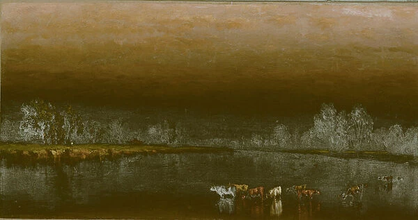 Cows in a Pond at Sunset, 1860. Creator: Sanford Robinson Gifford
