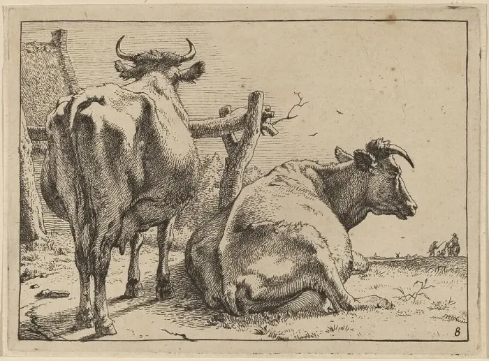 Framed Print : Two Cows Seen from Behind, 1650. Creator: Paulus Potter Framed Print : Two Cows Seen from Behind, 1650. Creator: Paulus Potter