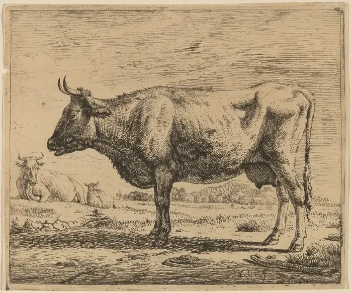 Framed Print : Two Cows and a Sheep, c. 1657 / 1659. Creator: Adriaen van de Velde Framed Print : Two Cows and a Sheep, c. 1657 / 1659. Creator: Adriaen van de Velde