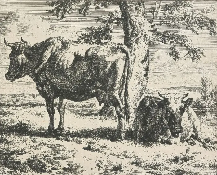 Framed Print : Cows and sheep. Plate 3: Two cows under a tree, 1650-1672. Creator: Adriaen van de Velde Framed Print : Cows and sheep. Plate 3: Two cows under a tree, 1650-1672. Creator: Adriaen van de Velde