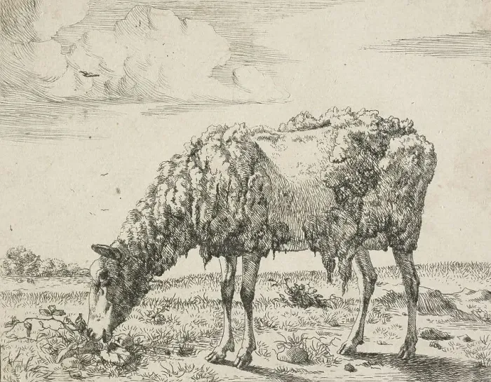 Framed Print : Cows and a sheep. Plate 8: A grazing sheep, 1664. Creator: Marcus de Bye Framed Print : Cows and a sheep. Plate 8: A grazing sheep, 1664. Creator: Marcus de Bye