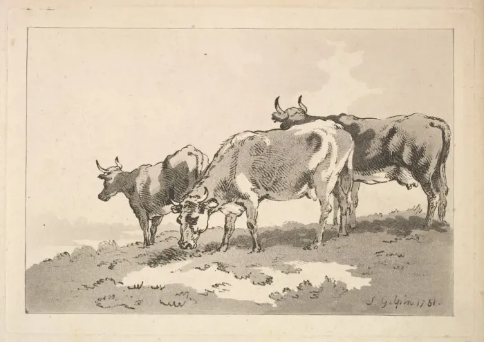 Framed Print : Three Cows Standing on the Ridge of a Field, 1784-87. Creator: Thomas Rowlandson Framed Print : Three Cows Standing on the Ridge of a Field, 1784-87. Creator: Thomas Rowlandson