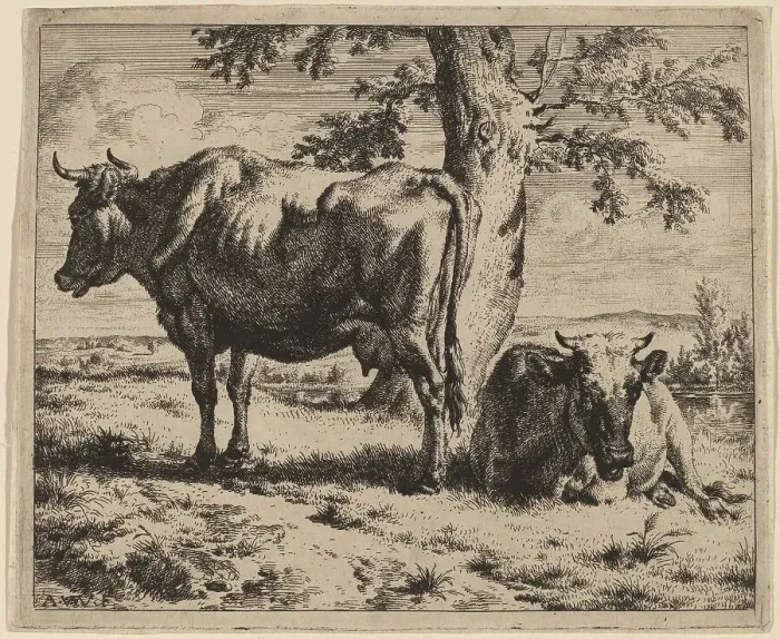 Framed Print : Two Cows under a Tree, c. 1670. Creator: Adriaen van de Velde Framed Print : Two Cows under a Tree, c. 1670. Creator: Adriaen van de Velde