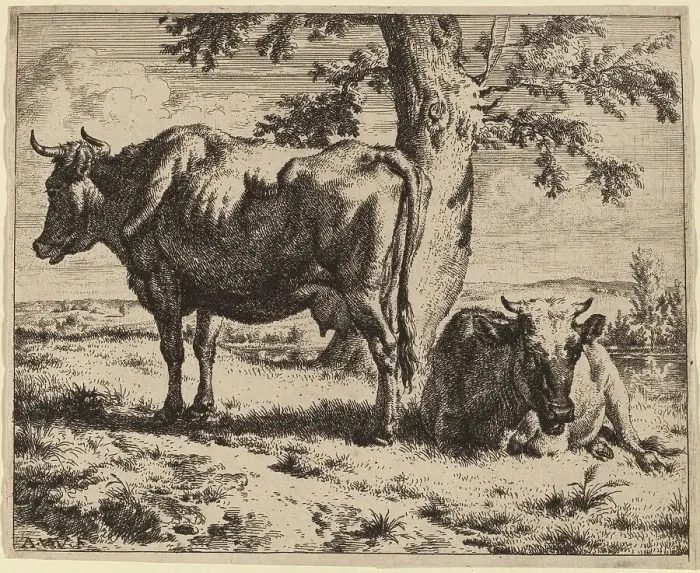 Framed Print : Two Cows under a Tree, c. 1670. Creator: Adriaen van de Velde Framed Print : Two Cows under a Tree, c. 1670. Creator: Adriaen van de Velde