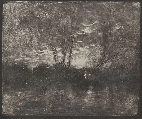 Cows at a Watering Place, original impression 1862, printed in 1921