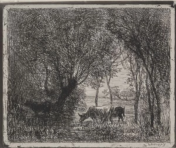Cows in the Woods, original impression 1862, printed in 1921