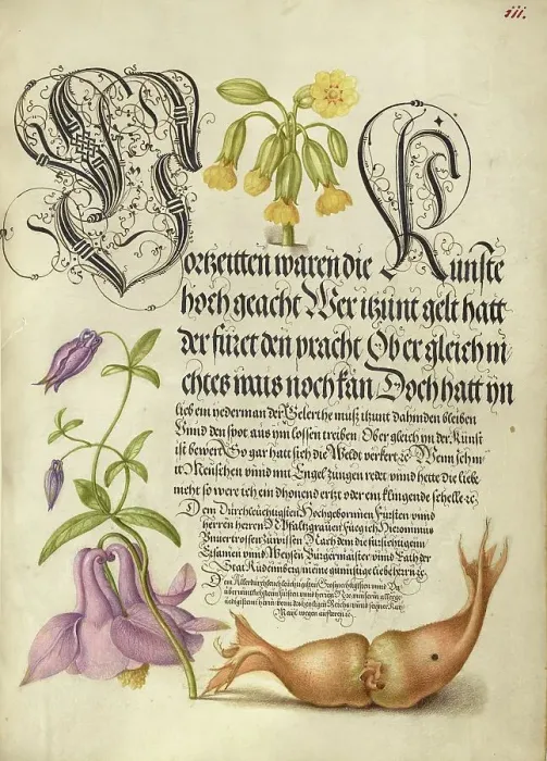 Framed Print : Cowslip, European Columbine, and Giant Filbert, 1561-1562; illumination added 1591-1596. Creator: Joris Hoefnagel Framed Print : Cowslip, European Columbine, and Giant Filbert, 1561-1562; illumination added 1591-1596. Creator: Joris Hoefnagel