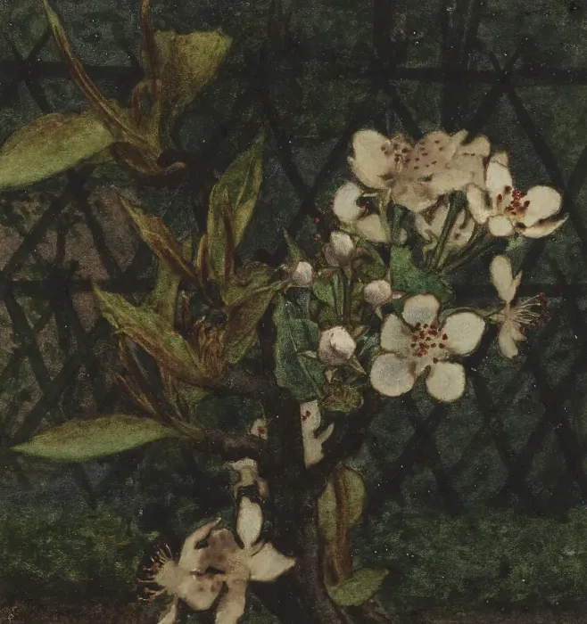 Framed Print : Crab Apple Blossom, 1863. Creator: Leon Bonvin Framed Print : Crab Apple Blossom, 1863. Creator: Leon Bonvin