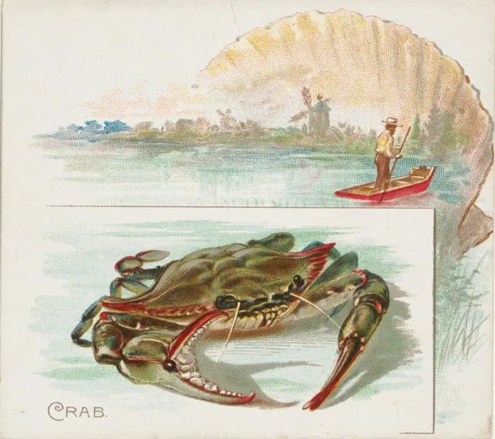 Framed Print : Crab, from Fish from American Waters series (N39) for Allen & Ginter Cigarettes, 1889 Framed Print : Crab, from Fish from American Waters series (N39) for Allen & Ginter Cigarettes, 1889