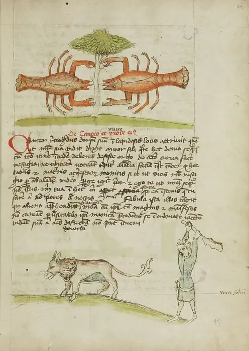 Framed Print : A Crab and Its Mother: A Man Hitting a Donkey; Fables, third quarter of 15th century. Creator: Unknown Framed Print : A Crab and Its Mother: A Man Hitting a Donkey; Fables, third quarter of 15th century. Creator: Unknown
