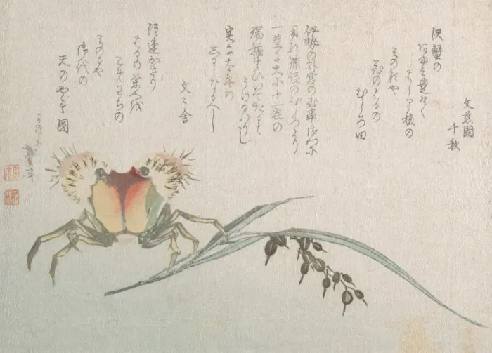 Framed Print : Crab and Rice Plant, 19th century. Creator: Hokusai Framed Print : Crab and Rice Plant, 19th century. Creator: Hokusai