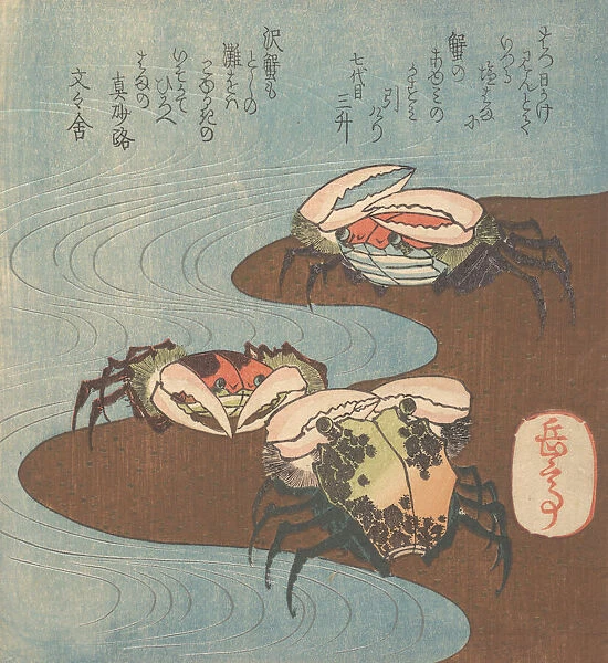 Crabs Near the Waters Edge, ca. 1830. Creator: Gakutei