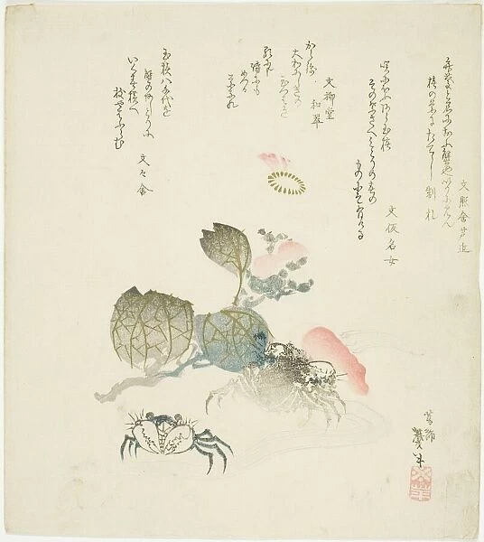 Two crabs by a spray of camellia, Japan, late 1820s-early 1830s