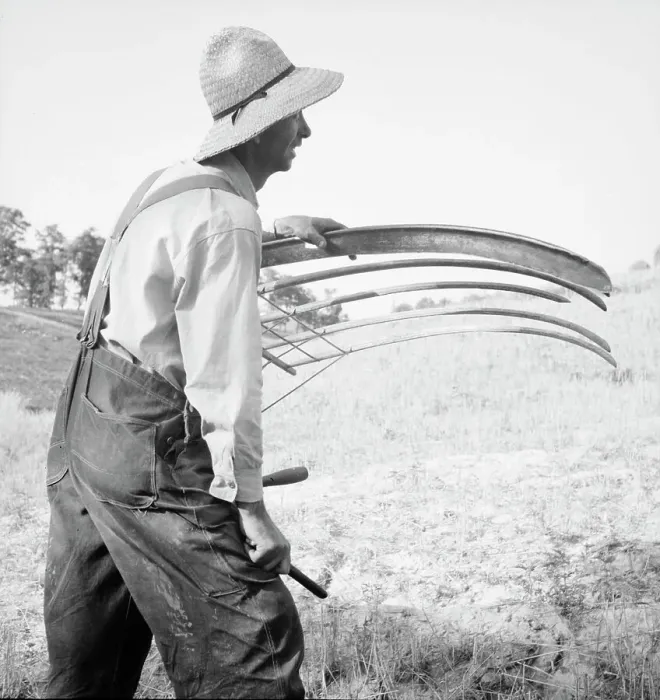 Framed Print : Cradling wheat near Christianburg, Virginia, 1936. Creator: Dorothea Lange Framed Print : Cradling wheat near Christianburg, Virginia, 1936. Creator: Dorothea Lange