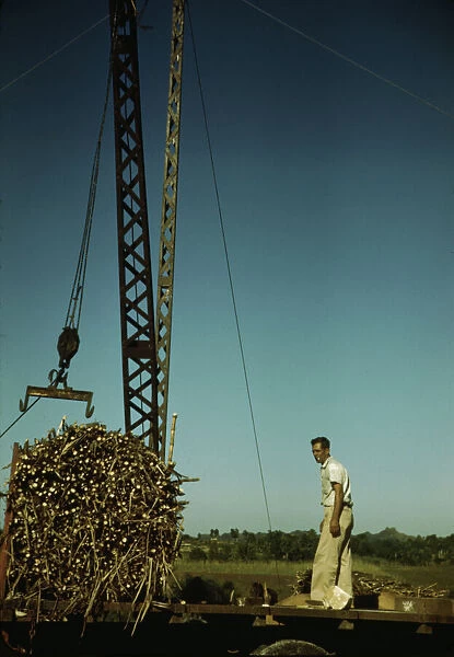Crane at a 'central'sugar cane gathering place, San Sebastian vicinity, Puerto Rico, 1942. Creator: Jack Delano