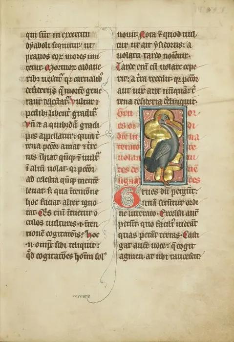 Framed Print : A Crane; De Natura Avium; De Pastoribus et Ovibus; Bestiarium, 1277 or after. Creator: Unknown Framed Print : A Crane; De Natura Avium; De Pastoribus et Ovibus; Bestiarium, 1277 or after. Creator: Unknown