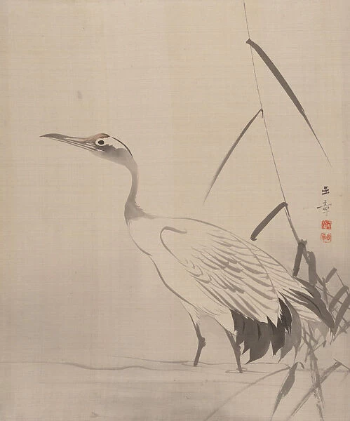 Crane Among Reeds, 1887-92. Creator: Gyokusho Kawabata