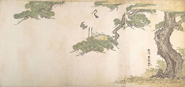 Crane and Their Young in Their Nest in the Branches of a Pine-tree, ca. 1790