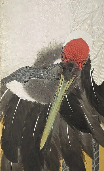 Cranes (image 6 of 20), An'ei period (1772-1780). Creator: Maruyama Okyo