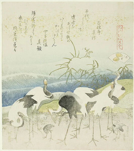 Cranes by the Shore, illustration for The Leg Shell (Ashigai), from the series 'A Matching...1821. Creator: Hokusai. Cranes by the Shore, illustration for The Leg Shell (Ashigai), from the series 'A Matching...1821. Creator: Hokusai