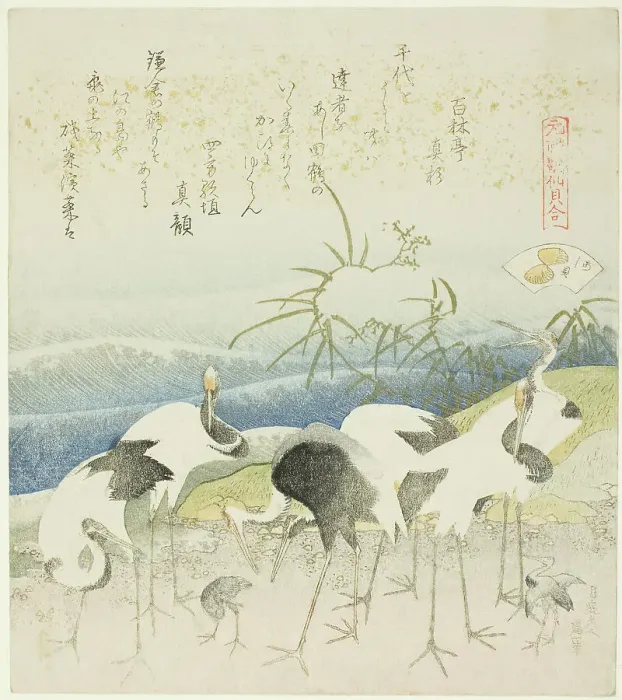 Framed Print : Cranes by the Shore, illustration for The Leg Shell (Ashigai), from the series A Matching...1821. Creator: Hokusai. Cranes by the Shore, illustration for The Leg Shell (Ashigai), from the series A Matching...1821. Creator: Hokusai Framed Print : Cranes by the Shore, illustration for The Leg Shell (Ashigai), from the series A Matching...1821. Creator: Hokusai. Cranes by the Shore, illustration for The Leg Shell (Ashigai), from the series A Matching...1821. Creator: Hokusai
