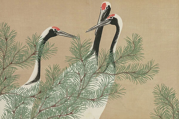 Cranes (Tsuru). From the series 'A World of Things (Momoyogusa)', 1909-1910. Creator: Sekka, Kamisaka (1866-1942). Cranes (Tsuru). From the series 'A World of Things (Momoyogusa)', 1909-1910. Creator: Sekka, Kamisaka (1866-1942)