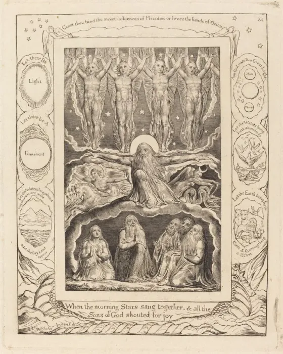 Framed Print : The Creation, 1825. Creator: William Blake Framed Print : The Creation, 1825. Creator: William Blake