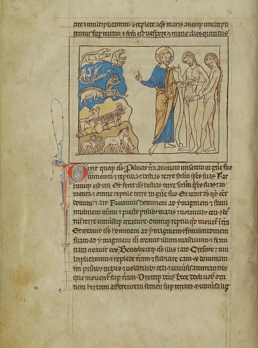 Framed Print : The Creation of the Animals and of Adam and Eve; Northumberland Bestiary, about 1250-1260. Creator: Unknown
