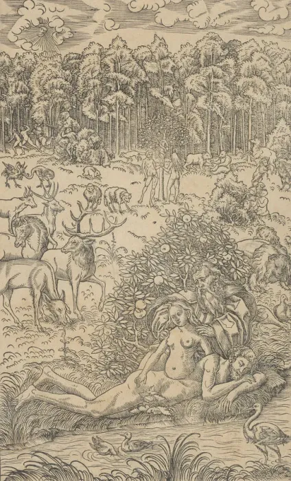 Framed Print : The Creation of Eve. Creators: Lucas Cranach the Younger Framed Print : The Creation of Eve. Creators: Lucas Cranach the Younger