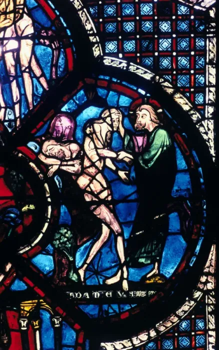 Framed Print : Creation of Eve, stained glass, Chartres Cathedral, France, 1205-1215