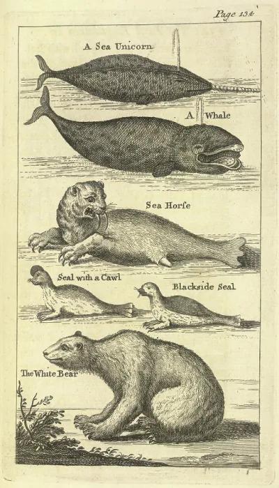 Framed Print : Several creatures, 1748. Creator: Unknown Framed Print : Several creatures, 1748. Creator: Unknown