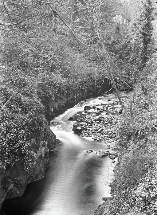 Framed Print : Creek / river unknown location, c1900s. Creator: Robert Augustus Henry L'Estrange. Creek / river unknown location, c1900s. Creator: Robert Augustus Henry L'Estrange Framed Print : Creek / river unknown location, c1900s. Creator: Robert Augustus Henry L'Estrange. Creek / river unknown location, c1900s. Creator: Robert Augustus Henry L'Estrange