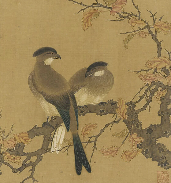 Two crested birds on a branch; autumn leaves, Qing dynasty, 18th century. Creator: Unknown