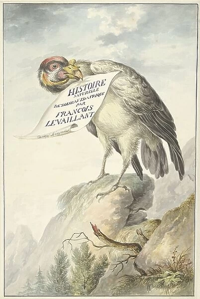 Crested vulture with a sheet of paper in its beak, 1763-1824. Creator: Circle of François Le Vaillant