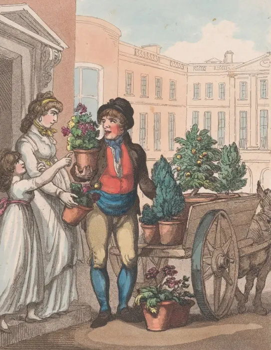 Framed Print : Cries of London, No. 6: All a growing, heres Flowers, March 1, 1799 Framed Print : Cries of London, No. 6: All a growing, heres Flowers, March 1, 1799